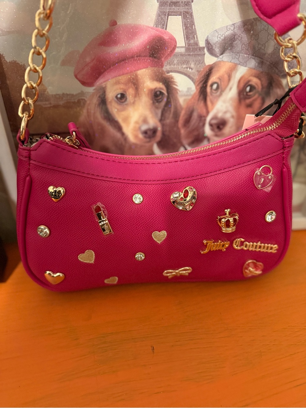 Juicy Couture Turn On The Charm Shoulder Bag NWT - Picture 2 of 9